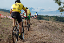 bike terra 2009